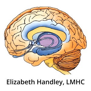 Elizabeth Handley LMHC